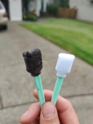 Shift to Shine Mobile Detailing