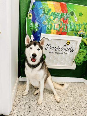 Barksuds Marina Westshore District