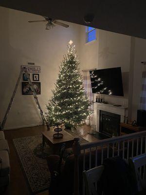 Mrs Ruth's Christmas Tree Lot