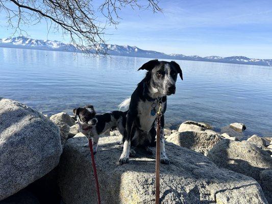 Grumpy customer service but super clean restrooms