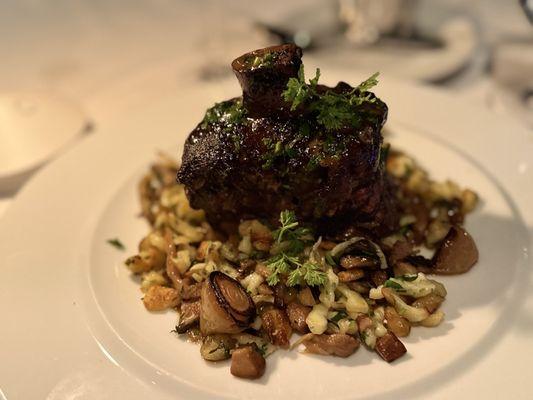 Slow Braised Short Rib Osso Buco Style, Alsace Knefla, Wild Mushrooms