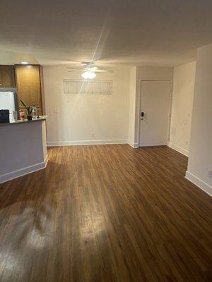 Dust Bunny Cleaning Service