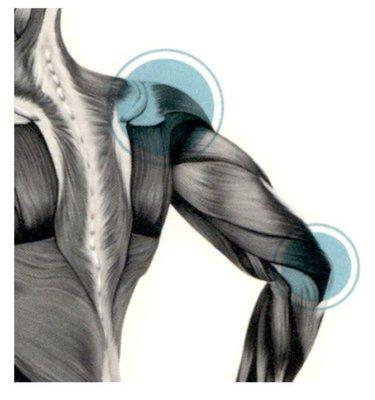 Park City Physical Therapy