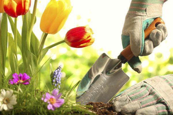 Rene's Landscaping