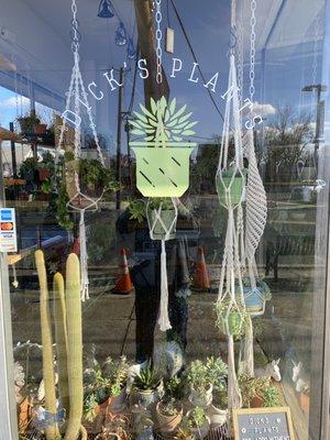 Dick's Plants studio