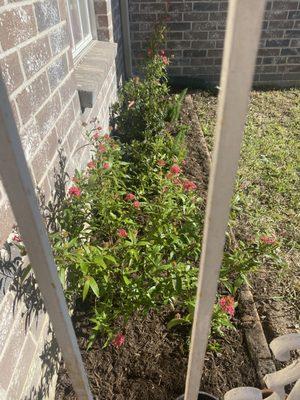 Fort Bend Construction and Grounds