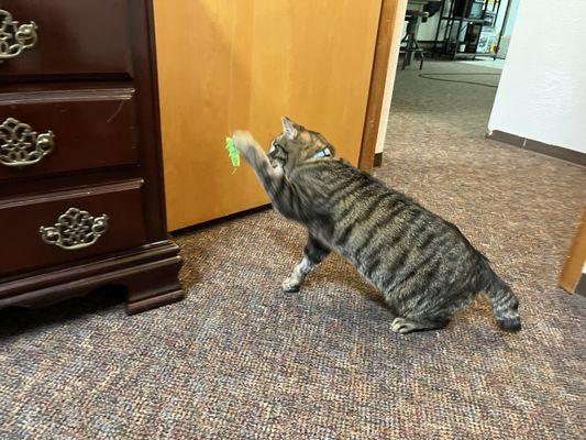Mr. Gavin, Saturday morning after I picked him up Friday afternoon playing with his toys filling much better.