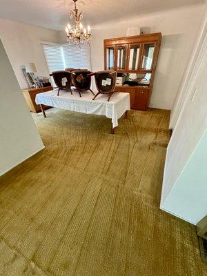 Leo's Carpet Cleaning