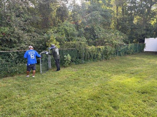 B & A Tree service Masonry Fence & more