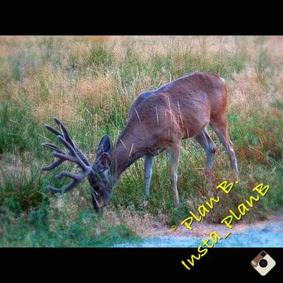 Valley Wilderness Center