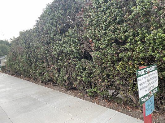 SavATree - Tree Service