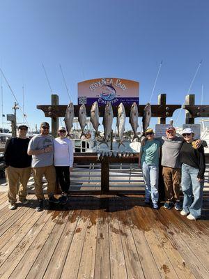 Amberjack and the 'harvesters'!