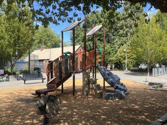 Madrona Playground