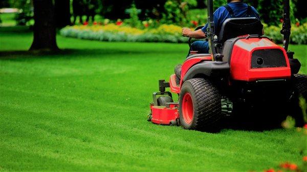 Young Outdoor Services