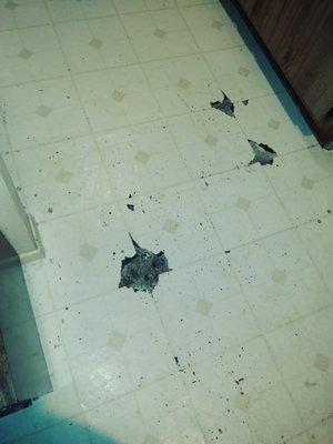 Country Terrace Village Apts