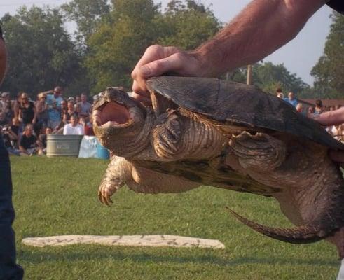 Campshore Campground