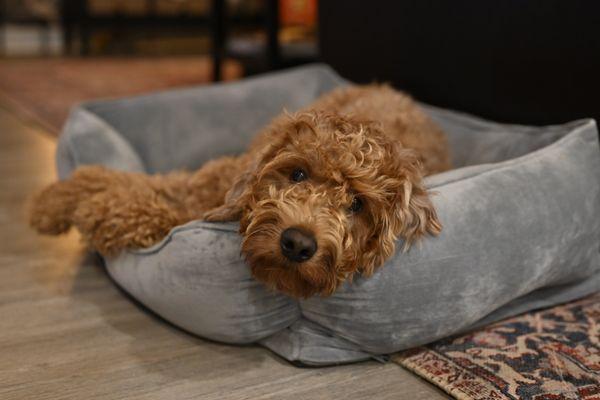 Greensburg Bed & Biscuit