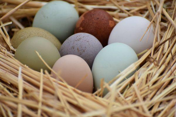 30A Entertainment and Events