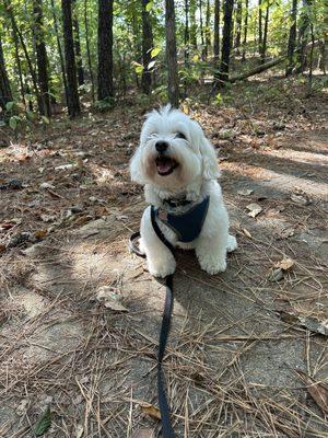 Lookin' good at Red Mountain park