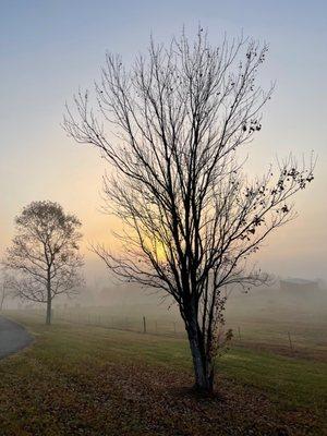 Foothills at Red Oak Recovery