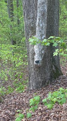 Thousand Trails Carolina Landing