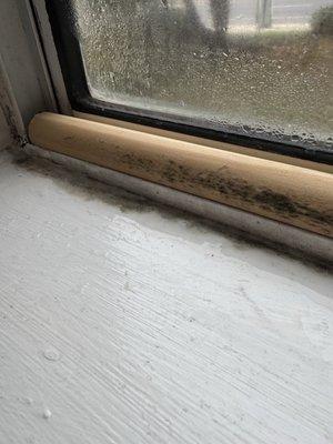 Willow Grove Apartments