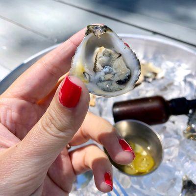 A Nevør-Netart oyster in all its glory.