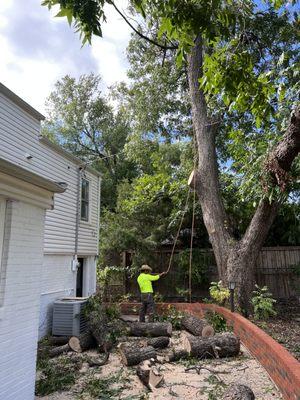 Cole's Tree Services