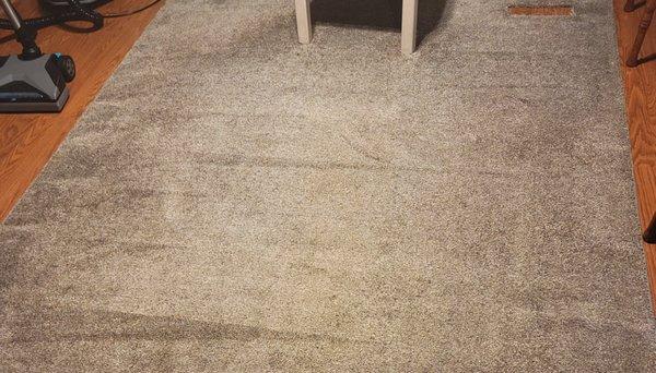 Veteran Carpet Cleaning Services