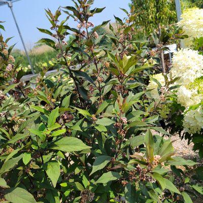 Northland Farm & Garden Center