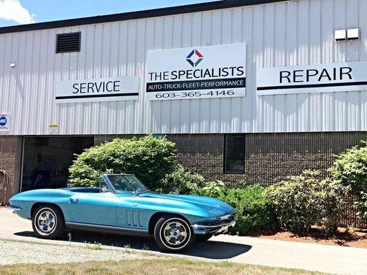 The Specialists Automotive & Truck