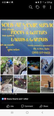 Solis At Your Service