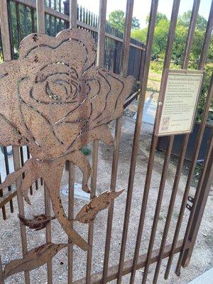 Reid Park Rose Garden