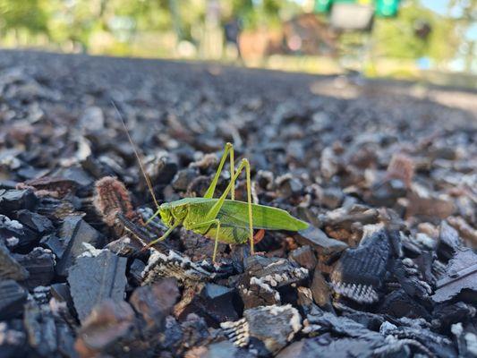 Kring Point State Park