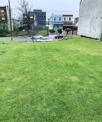 Thewright Landscapers