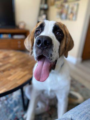 J & H Automotive Service