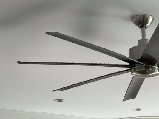 Disgusting dirt. Perhaps this is why several ended up with coughs.