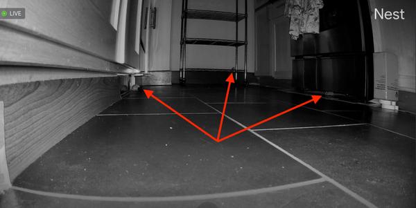 Three mice at once. Thanks, Domus.