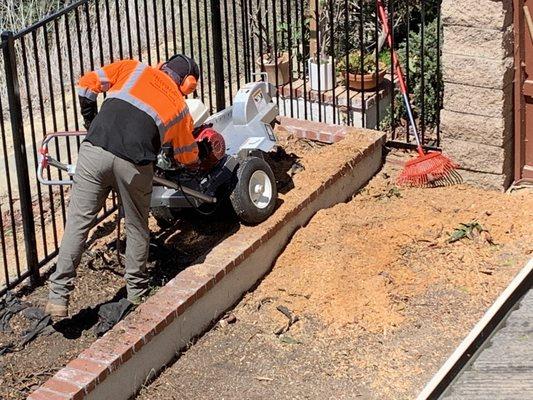 Freddie’s Tree Service