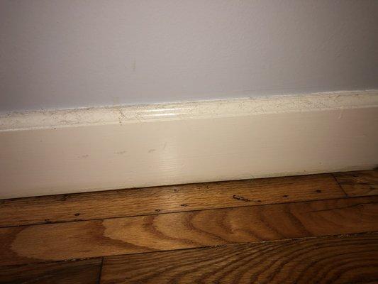 Silva's Cleaning Company