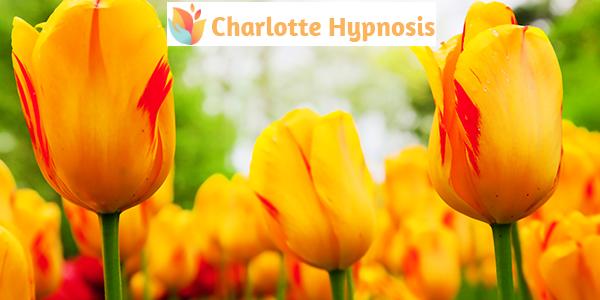 Charlotte Hypnosis