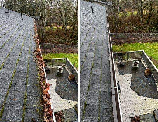 Green Leaf Roof & Gutter Cleaning