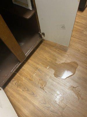 It spilling out from the sink all the way to the fridge