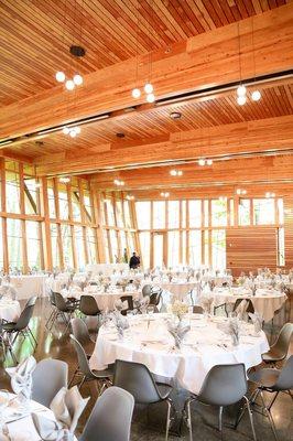 The Bissell Tree House at John Ball Zoo