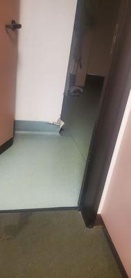 Alhambra Valley Physical Therapy