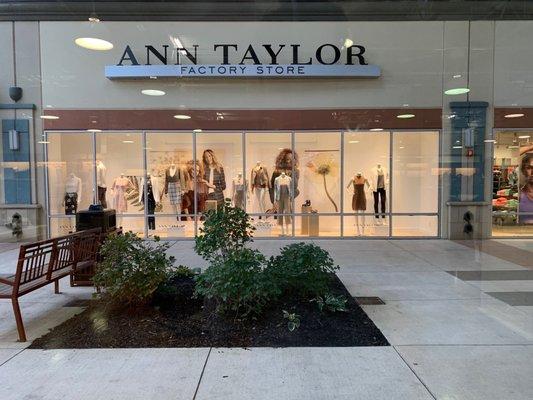 Ann Taylor