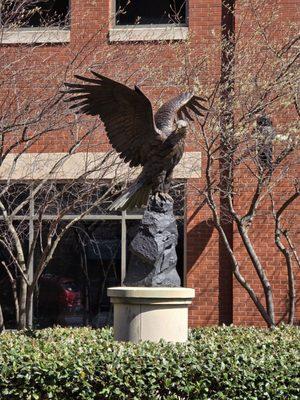 The bronze statue of the American Eagle outside the Social Security building in Roanoke, Virginia.