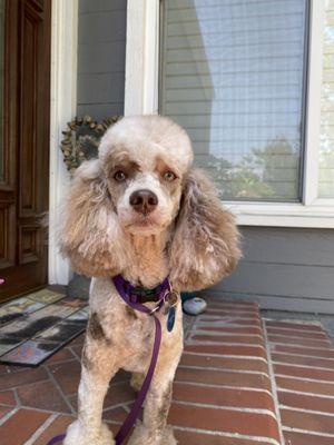 Kyrie says Amanda should get treats, too!
