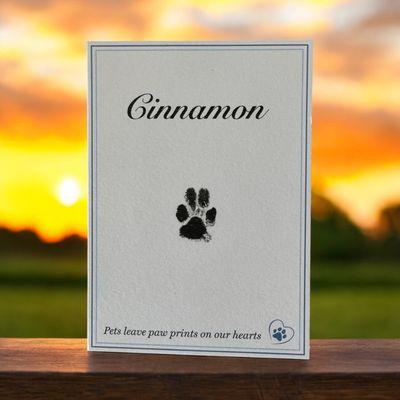 SAGE Veterinary Centers - San Francisco