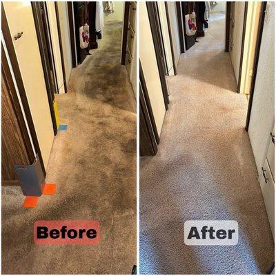 Juan's Carpet Cleaning